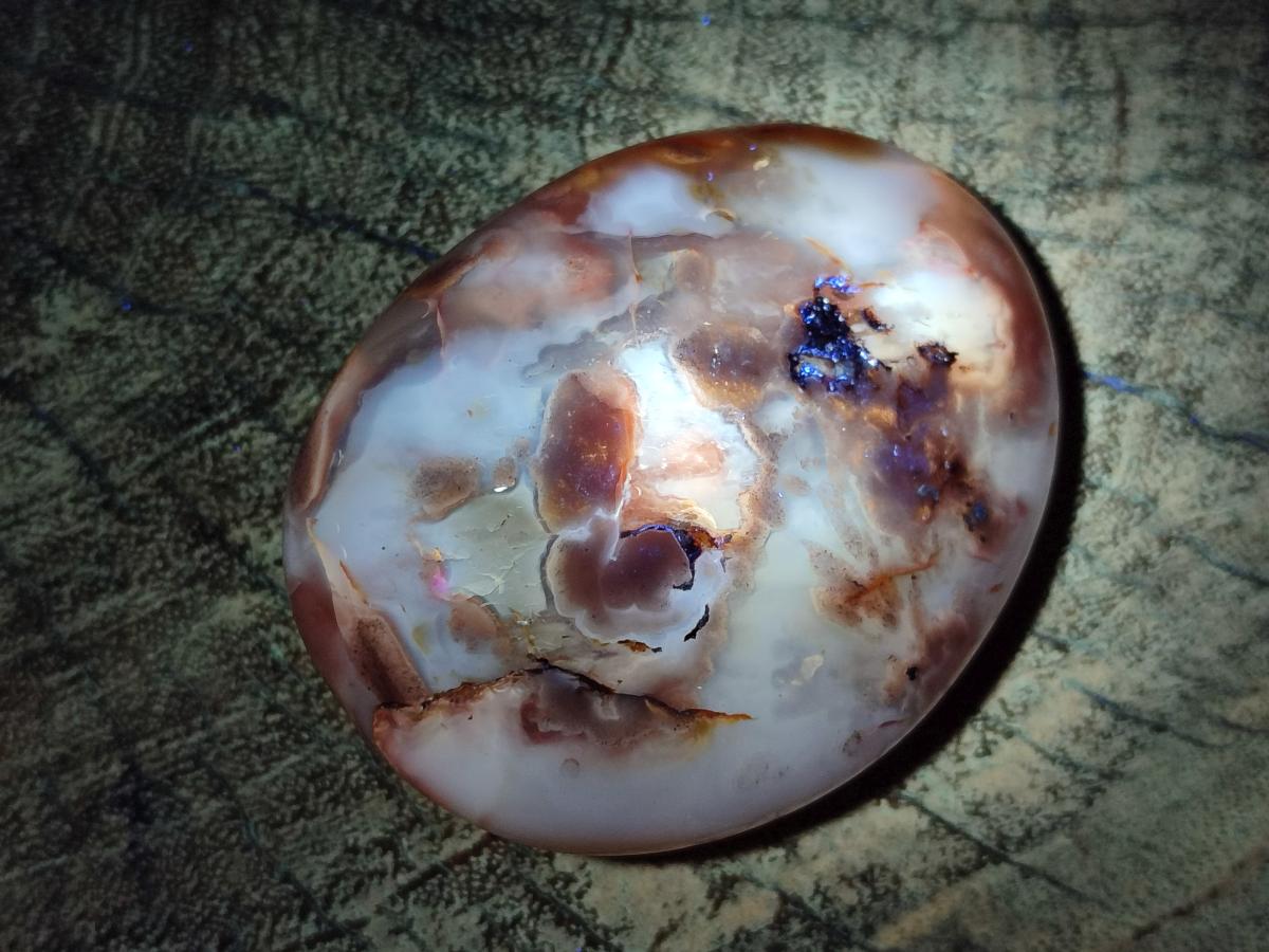 Polished Flower Agate Palm Stone x 12 From Antsahalova, Madagascar - Toprock Gemstones and Minerals 