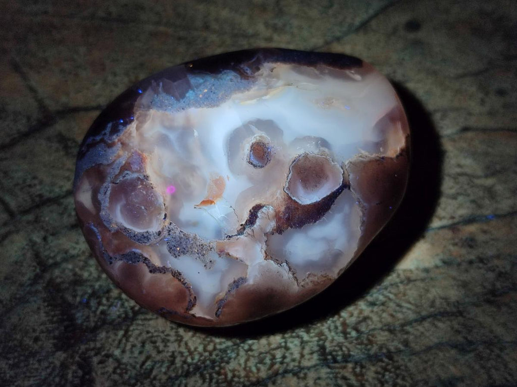 Polished Flower Agate Palm Stone x 12 From Antsahalova, Madagascar - Toprock Gemstones and Minerals 