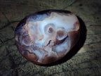 Polished Flower Agate Palm Stone x 12 From Antsahalova, Madagascar - Toprock Gemstones and Minerals 