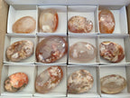 Polished Flower Agate Palm Stone x 12 From Antsahalova, Madagascar - Toprock Gemstones and Minerals 