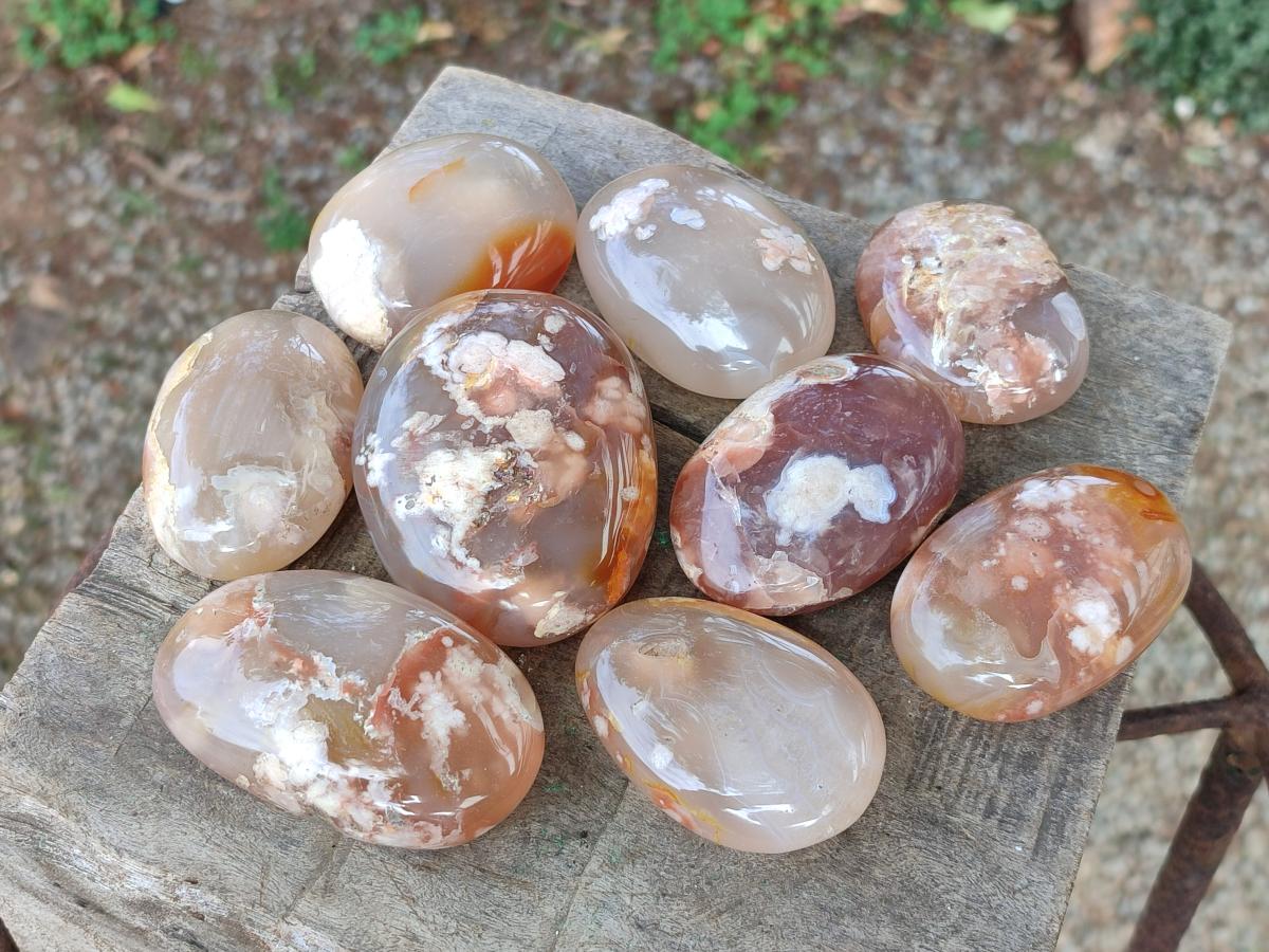 Polished Flower Agate Palm Stone x 12 From Antsahalova, Madagascar - Toprock Gemstones and Minerals 