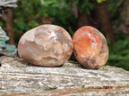 Polished Flower Agate Palm Stone x 12 From Antsahalova, Madagascar - Toprock Gemstones and Minerals 
