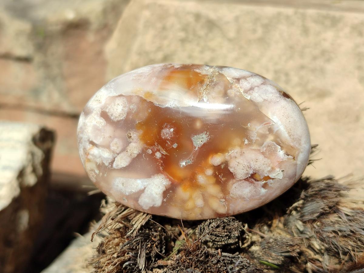 Polished Flower Agate Palm Stone x 12 From Antsahalova, Madagascar - Toprock Gemstones and Minerals 