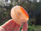 Polished Flower Agate Palm Stone x 12 From Antsahalova, Madagascar - Toprock Gemstones and Minerals 