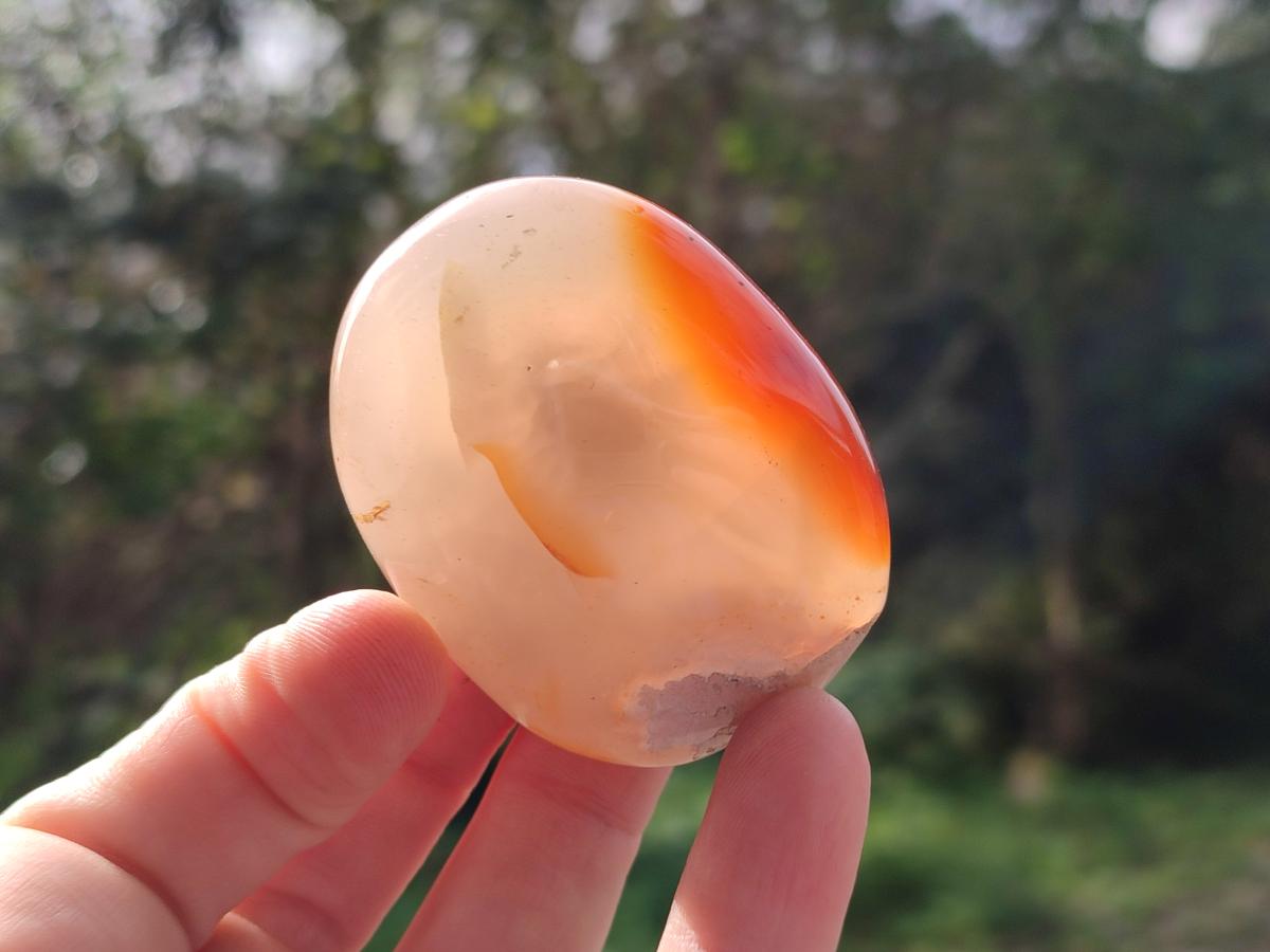 Polished Flower Agate Palm Stone x 12 From Antsahalova, Madagascar - Toprock Gemstones and Minerals 