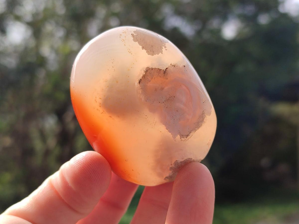 Polished Flower Agate Palm Stone x 12 From Antsahalova, Madagascar - Toprock Gemstones and Minerals 