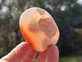 Polished Flower Agate Palm Stone x 12 From Antsahalova, Madagascar - Toprock Gemstones and Minerals 