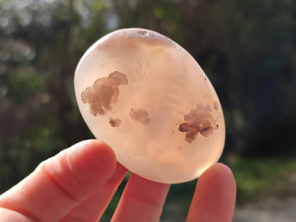 Polished Flower Agate Palm Stone x 12 From Antsahalova, Madagascar - Toprock Gemstones and Minerals 