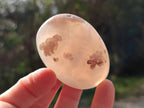 Polished Flower Agate Palm Stone x 12 From Antsahalova, Madagascar - Toprock Gemstones and Minerals 