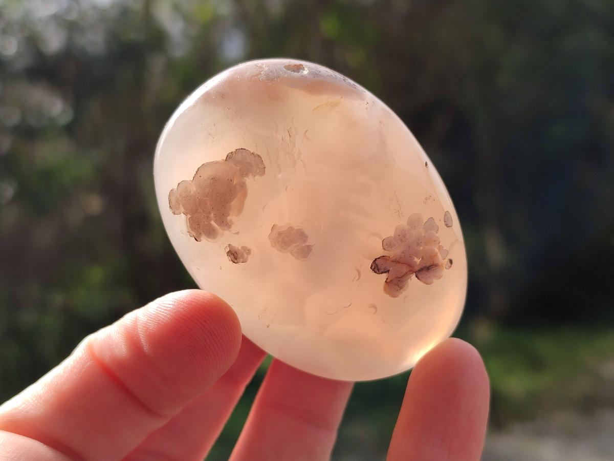 Polished Flower Agate Palm Stone x 12 From Antsahalova, Madagascar - Toprock Gemstones and Minerals 