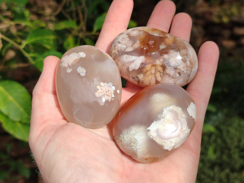 Polished Flower Agate Palm Stone x 12 From Antsahalova, Madagascar - Toprock Gemstones and Minerals 