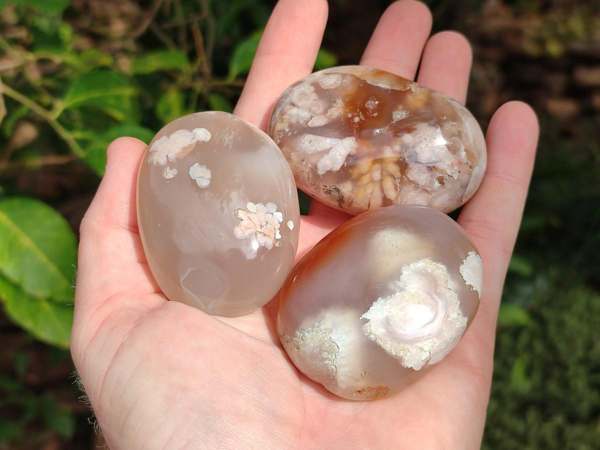 Polished Flower Agate Palm Stone x 12 From Antsahalova, Madagascar - Toprock Gemstones and Minerals 