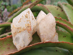 Natural Cascading "Anananas" Candle Quartz Crystals and Clusters x 9 From Antsirabe, Madagascar - Toprock Gemstones and Minerals 