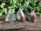 Polished Bloodstone Display Crystal Points x 3 From Swaziland - Toprock Gemstones and Minerals 