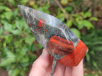 Polished Bloodstone Display Crystal Points x 3 From Swaziland - Toprock Gemstones and Minerals 