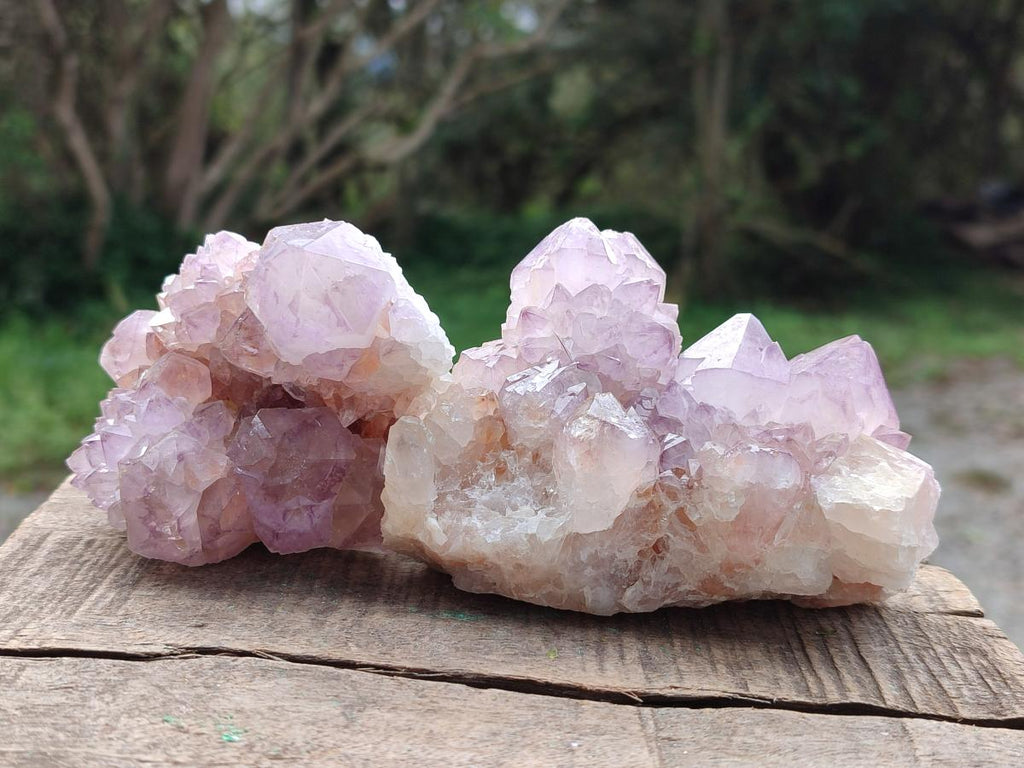 Natural Spirit Amethyst Clusters x 6 From Boekenhouthoek, South Africa - Toprock Gemstones and Minerals 