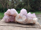 Natural Spirit Amethyst Clusters x 6 From Boekenhouthoek, South Africa - Toprock Gemstones and Minerals 