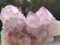 Natural Spirit Amethyst Clusters x 6 From Boekenhouthoek, South Africa - Toprock Gemstones and Minerals 