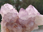 Natural Spirit Amethyst Clusters x 6 From Boekenhouthoek, South Africa - Toprock Gemstones and Minerals 