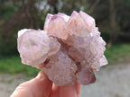 Natural Spirit Amethyst Clusters x 6 From Boekenhouthoek, South Africa - Toprock Gemstones and Minerals 