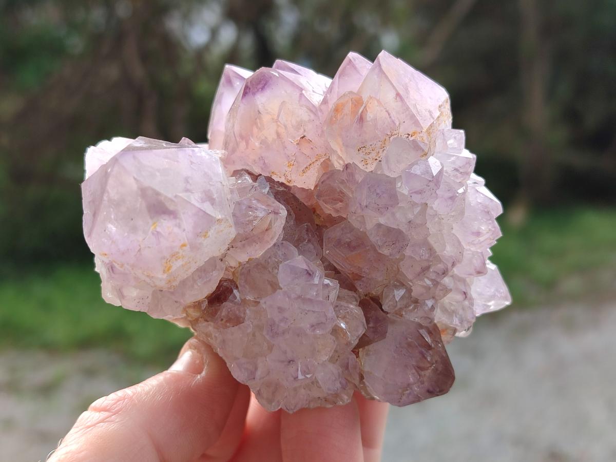 Natural Spirit Amethyst Clusters x 6 From Boekenhouthoek, South Africa - Toprock Gemstones and Minerals 