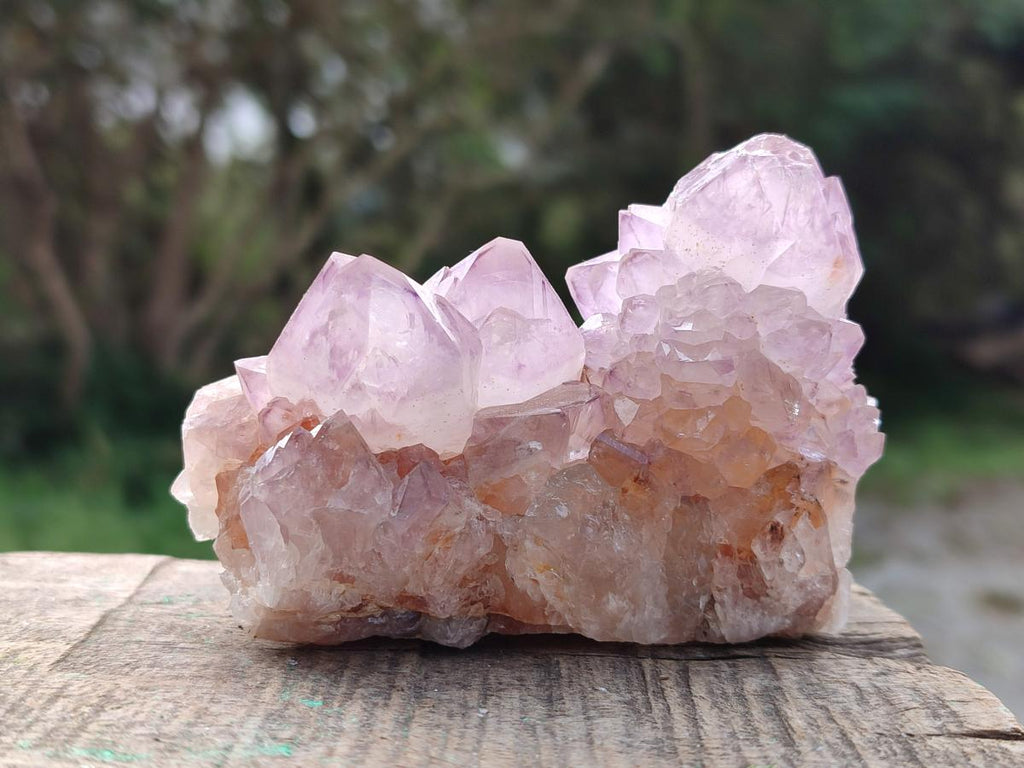 Natural Spirit Amethyst Clusters x 6 From Boekenhouthoek, South Africa - Toprock Gemstones and Minerals 
