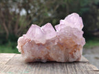 Natural Spirit Amethyst Clusters x 6 From Boekenhouthoek, South Africa - Toprock Gemstones and Minerals 
