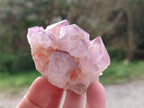 Natural Spirit Amethyst Clusters x 6 From Boekenhouthoek, South Africa - Toprock Gemstones and Minerals 