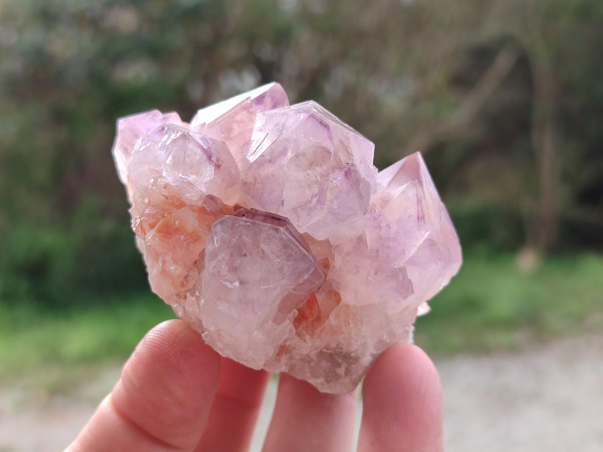 Natural Spirit Amethyst Clusters x 6 From Boekenhouthoek, South Africa - Toprock Gemstones and Minerals 