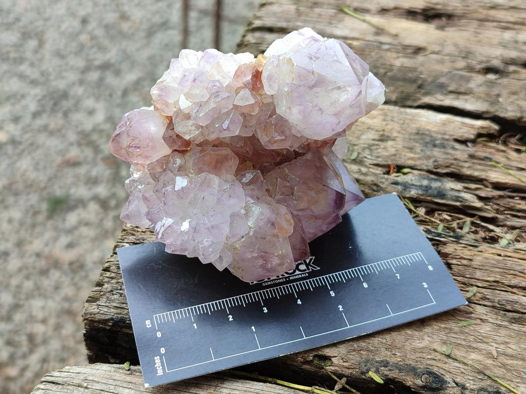 Natural Spirit Amethyst Clusters x 6 From Boekenhouthoek, South Africa - Toprock Gemstones and Minerals 