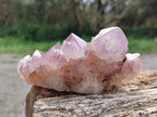 Natural Spirit Amethyst Clusters x 6 From Boekenhouthoek, South Africa - Toprock Gemstones and Minerals 