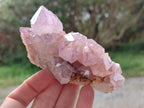 Natural Spirit Amethyst Clusters x 6 From Boekenhouthoek, South Africa - Toprock Gemstones and Minerals 