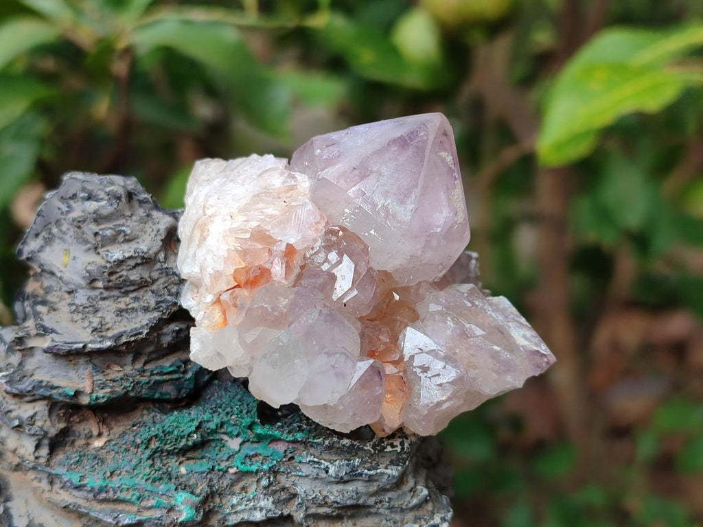 Natural Spirit Amethyst Clusters x 6 From Boekenhouthoek, South Africa - Toprock Gemstones and Minerals 