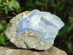 Natural Blue Lace Agate Geode Specimens x 12 From Nsanje, Malawi - Toprock Gemstones and Minerals 