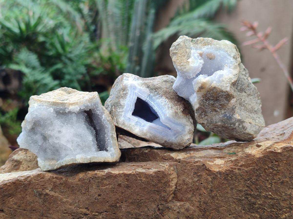 Natural Blue Lace Agate Geode Specimens x 12 From Nsanje, Malawi - Toprock Gemstones and Minerals 