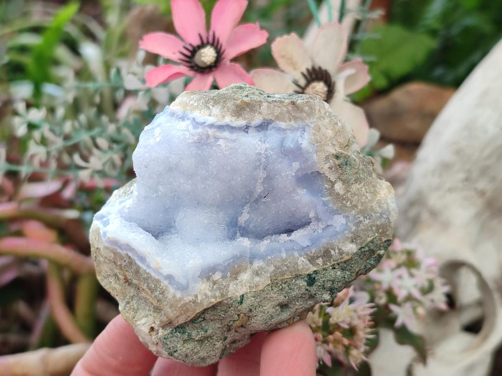 Natural Blue Lace Agate Geode Specimens x 12 From Nsanje, Malawi - Toprock Gemstones and Minerals 