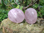 Polished Gemmy Rose Quartz Palm Stones x 24 From Madagascar - Toprock Gemstones and Minerals 