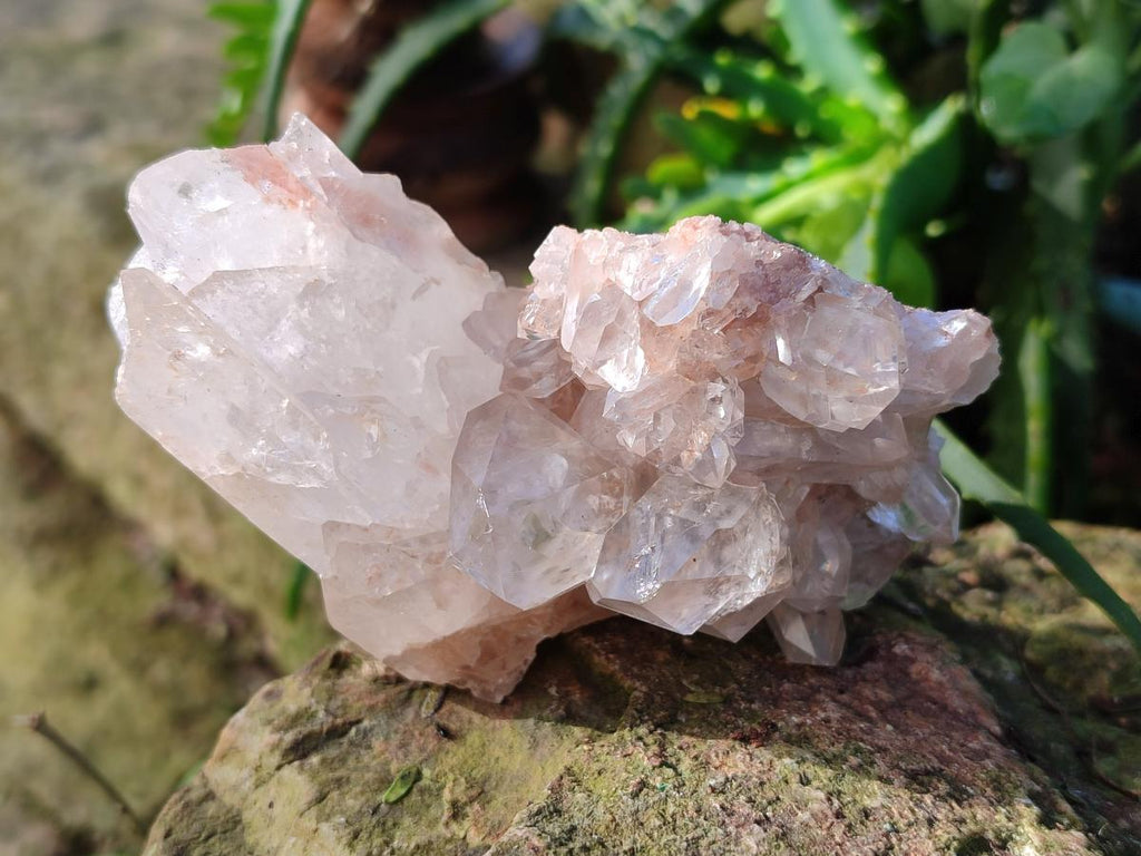 Natural Malagasy Quartz Clusters x 12 From Madagascar - Toprock Gemstones and Minerals 