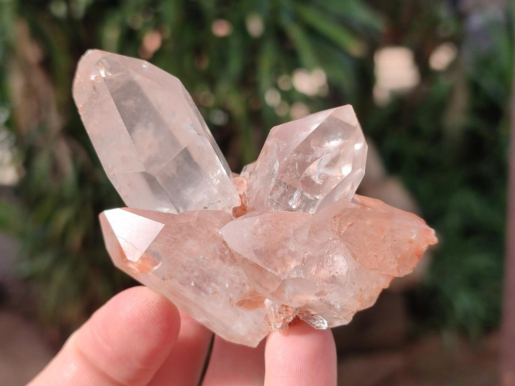 Natural Malagasy Quartz Clusters x 12 From Madagascar - Toprock Gemstones and Minerals 