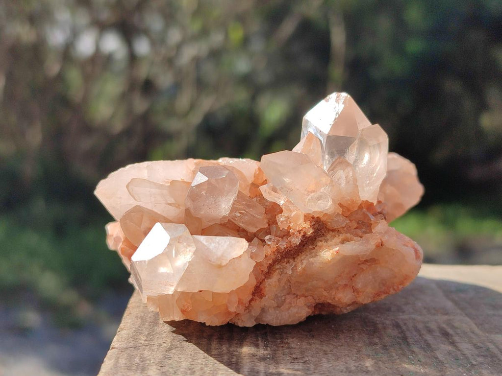 Natural Malagasy Quartz Clusters x 12 From Madagascar - Toprock Gemstones and Minerals 