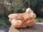 Natural Malagasy Quartz Clusters x 12 From Madagascar - Toprock Gemstones and Minerals 