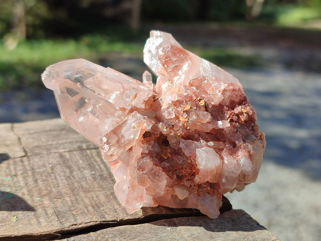 Natural Malagasy Quartz Clusters x 12 From Madagascar - Toprock Gemstones and Minerals 