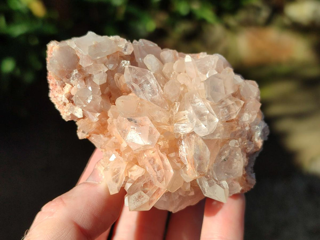 Natural Malagasy Quartz Clusters x 12 From Madagascar - Toprock Gemstones and Minerals 