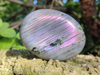 Polished Rare Purple Sunset Flash Labradorite Palm Stones x 12 From Madagascar - Toprock Gemstones and Minerals 