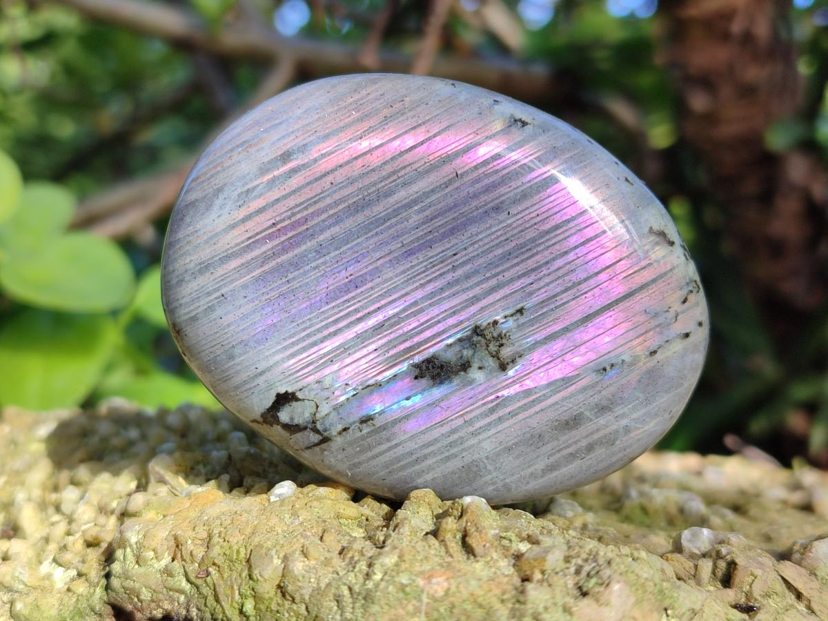Polished Rare Purple Sunset Flash Labradorite Palm Stones x 12 From Madagascar - Toprock Gemstones and Minerals 