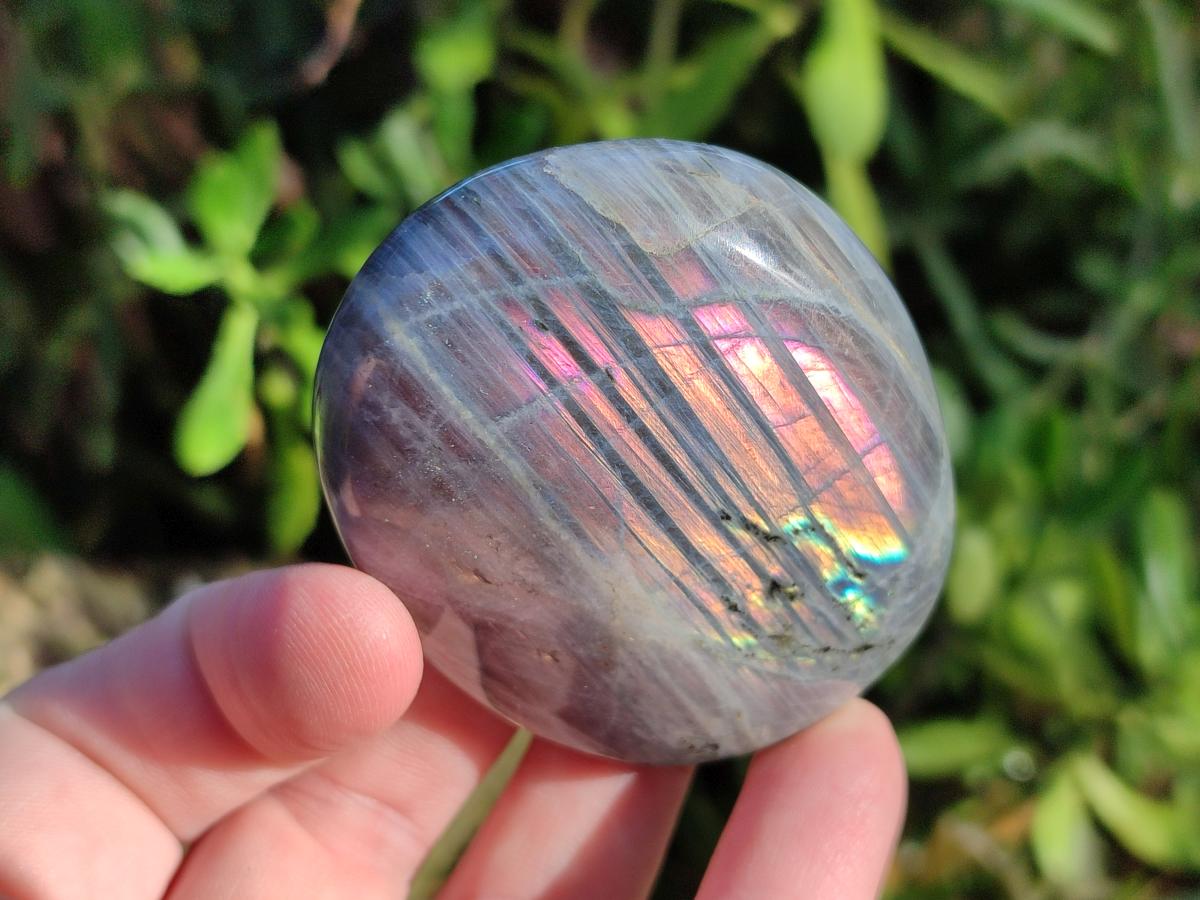 Polished Rare Purple Sunset Flash Labradorite Palm Stones x 12 From Madagascar - Toprock Gemstones and Minerals 