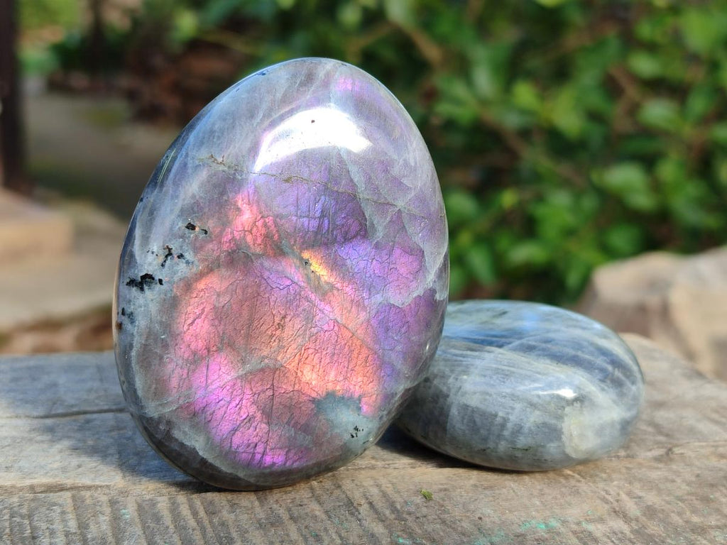 Polished Rare Purple Sunset Flash Labradorite Palm Stones x 12 From Madagascar - Toprock Gemstones and Minerals 