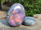 Polished Rare Purple Sunset Flash Labradorite Palm Stones x 12 From Madagascar - Toprock Gemstones and Minerals 