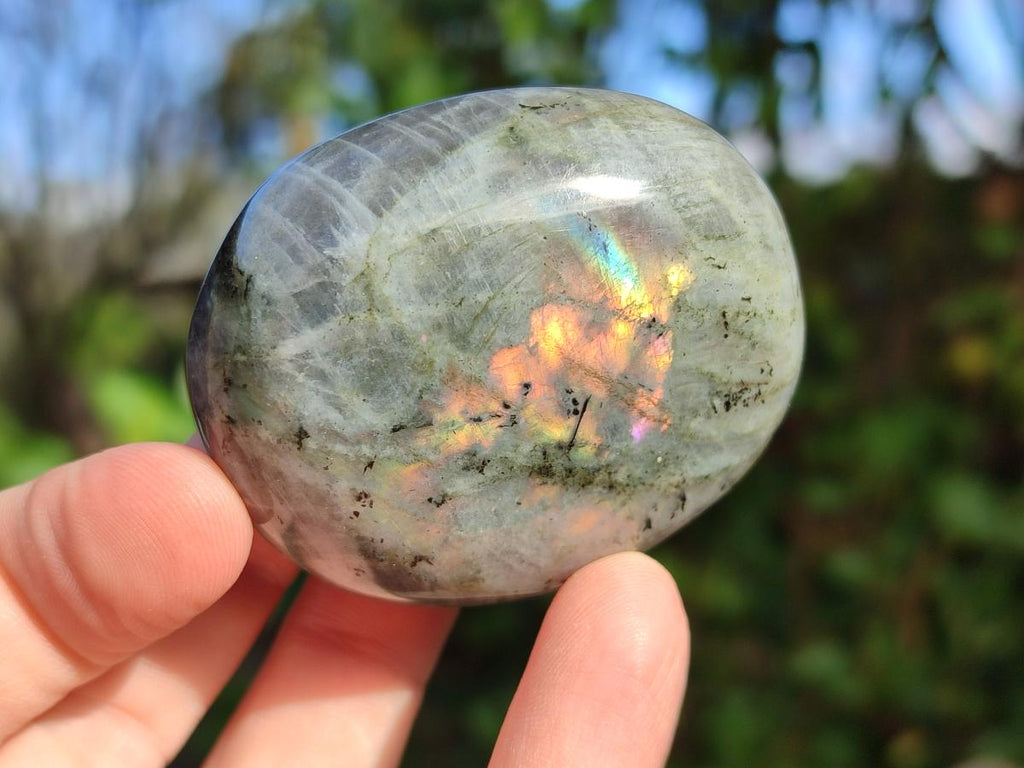 Polished Rare Purple Sunset Flash Labradorite Palm Stones x 12 From Madagascar - Toprock Gemstones and Minerals 