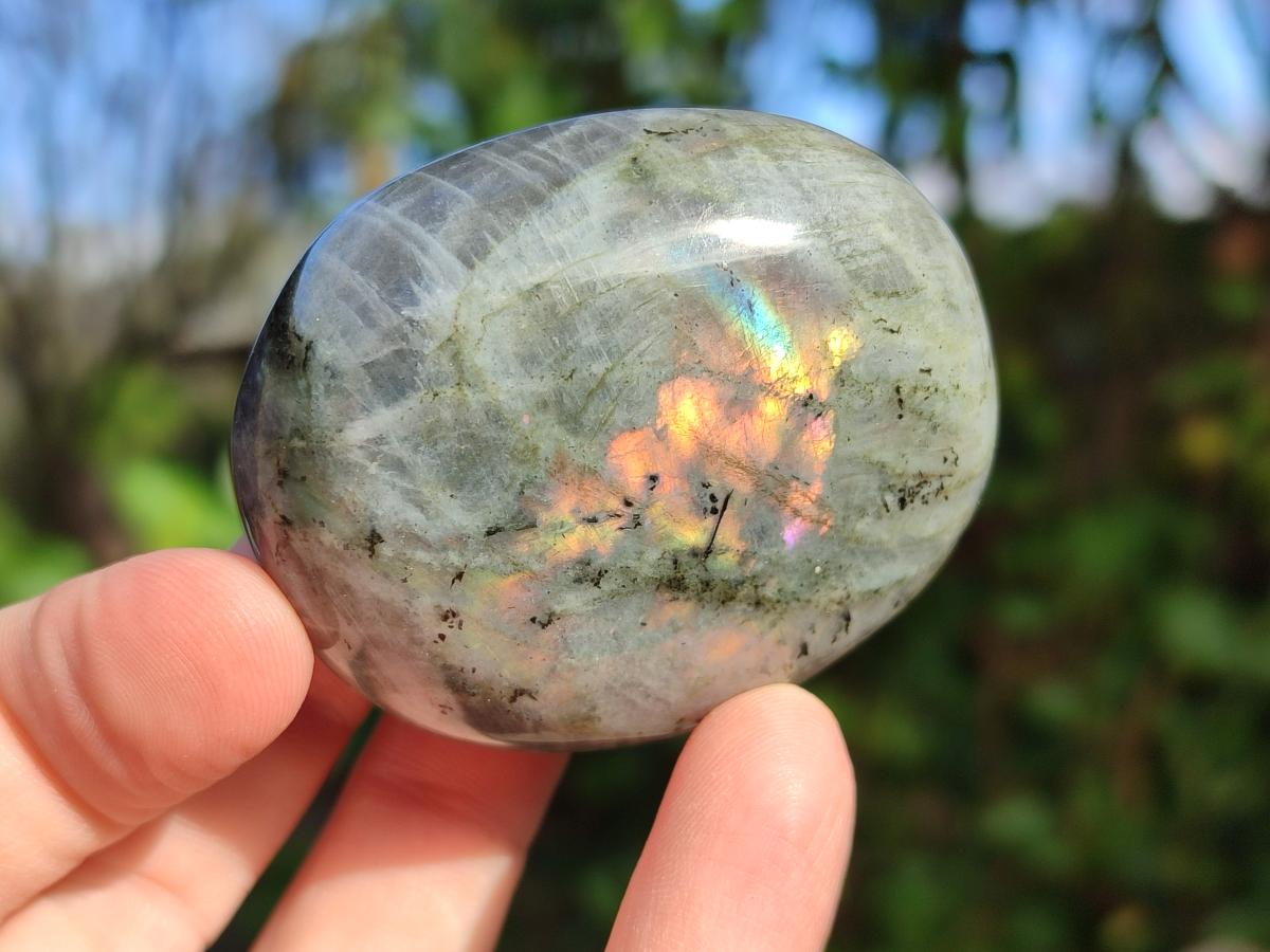Polished Rare Purple Sunset Flash Labradorite Palm Stones x 12 From Madagascar - Toprock Gemstones and Minerals 
